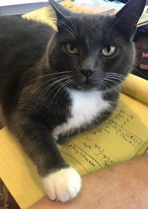 "This section you're working on......is this really the BEST you can do?"