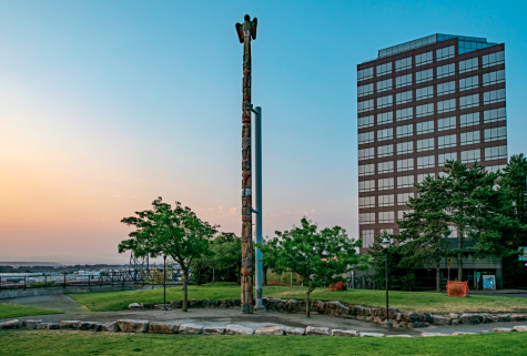 The Tacoma pole, together with its metal brace, shortly before being taken down on August 3, 2021 (Photo by Clay Eals)