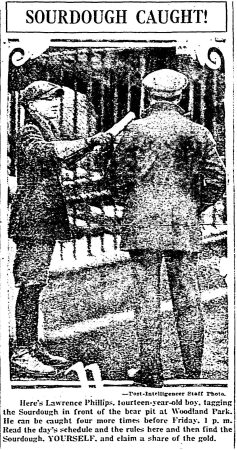 Lawrence Phillips apprehends the Sourdough at Seattle's Woodland Park Zoo. (Seattle Post-Intelligencer, 5 March 1923, Page 3)